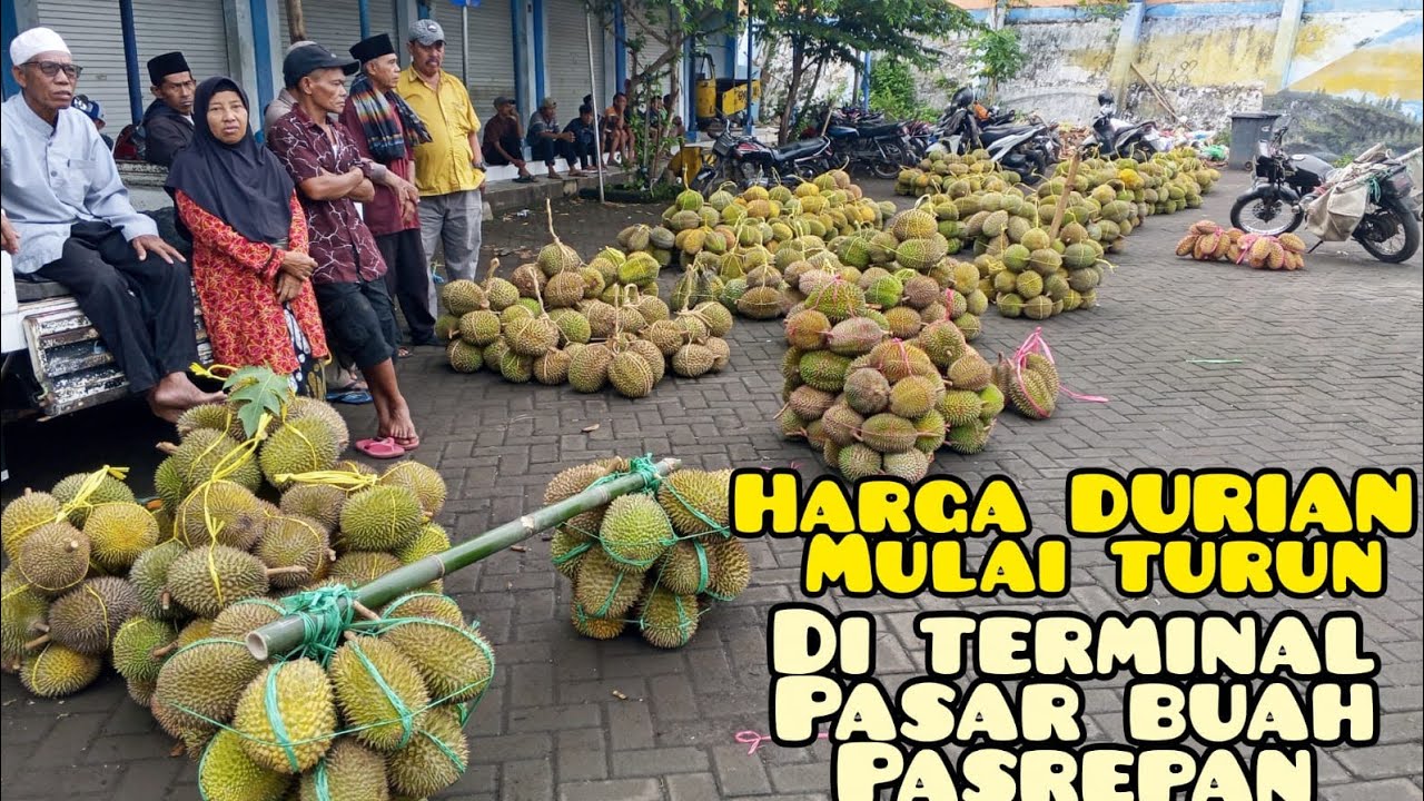 Update terbaru Harga DURIAN Borongan di terminal pasar buah Pasrepan kabupaten Pasuruan Jawa Timur 