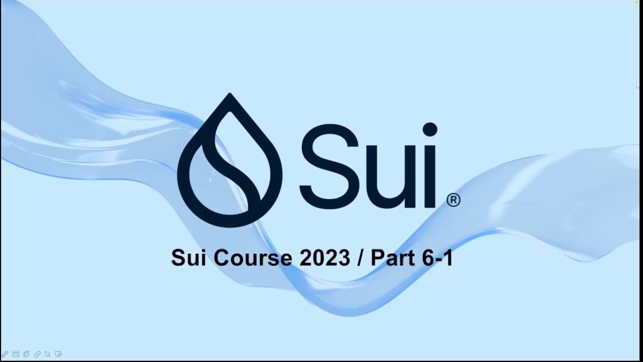 Homogeneous Collections | Move on Sui Course 6.1