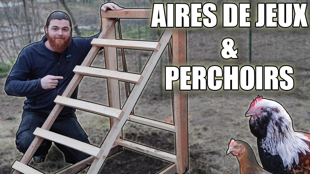 Faire une aire de jeux & perchoirs pour mes poules !