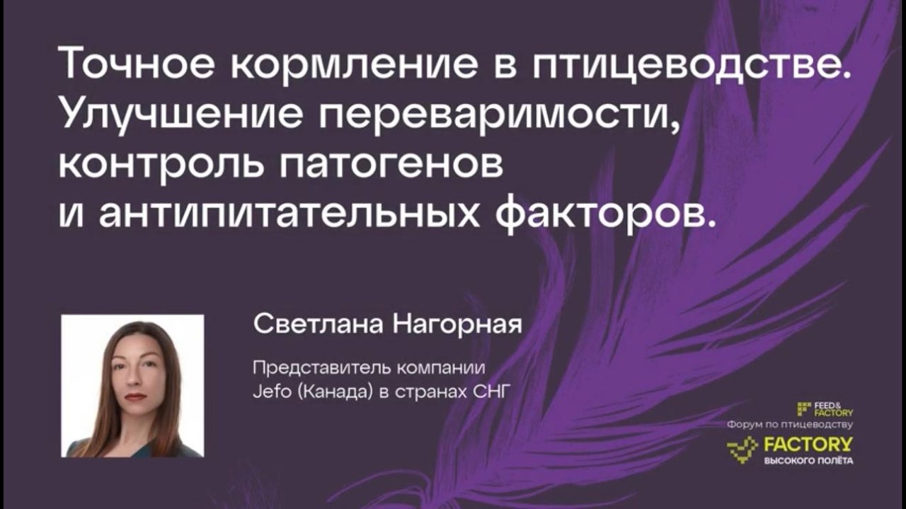 Точное кормление в птицеводстве.