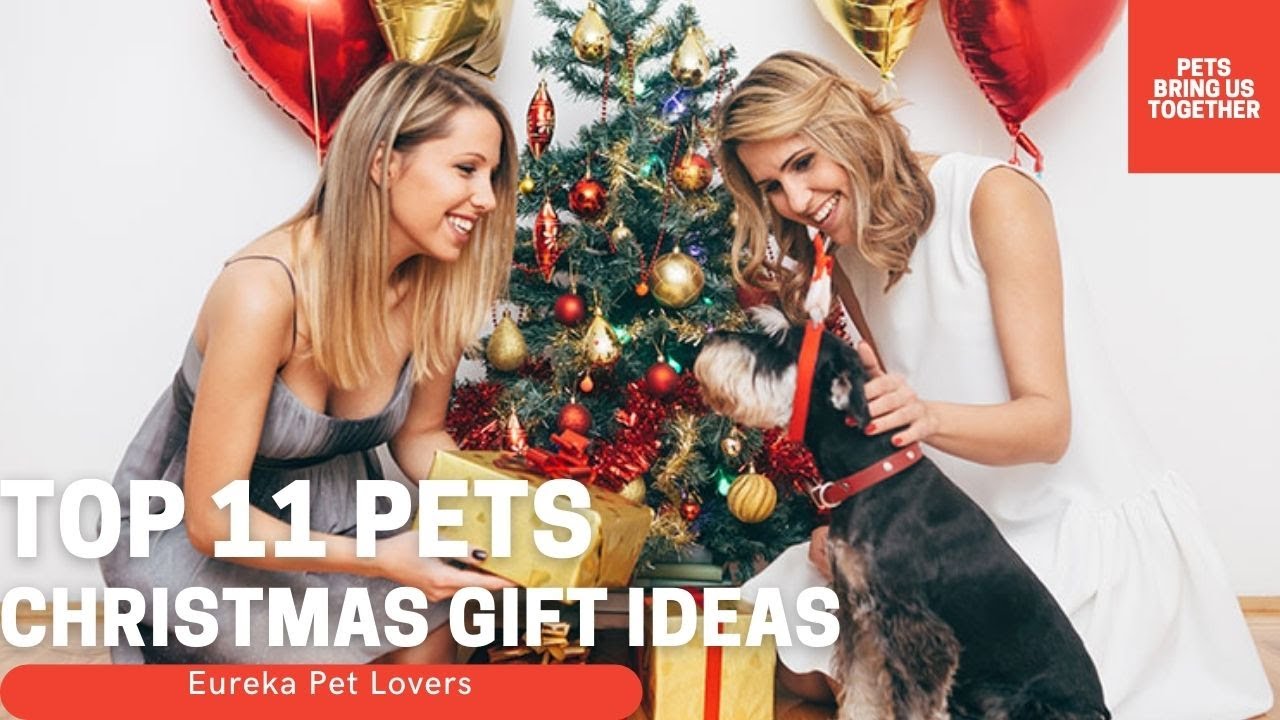 Top 11 Pets Christmas Gift Ideas | Amazon | AliExpress | Review | Video