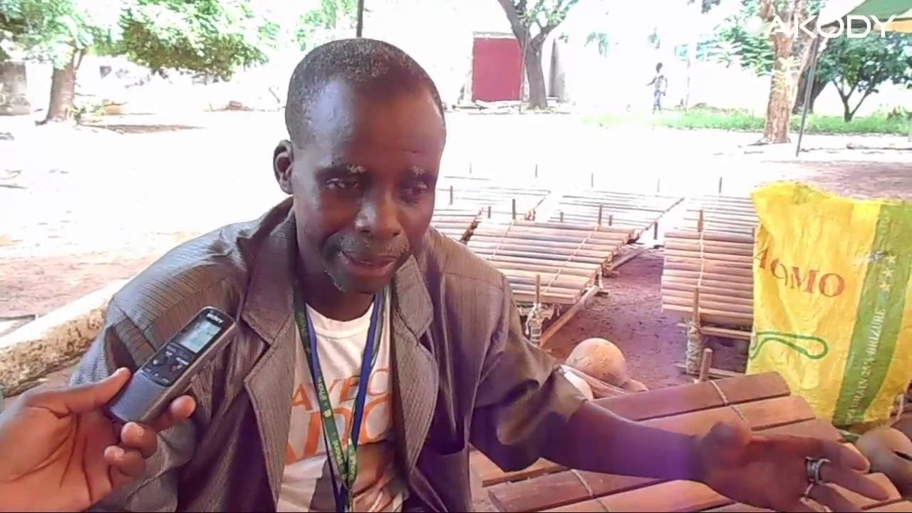 Historique du Balafon ou du 