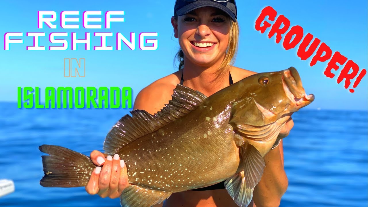 REEF FISHING in ISLAMORADA | PARADISE | FLORIDA KEYS | Latitude Tournament Boats | Grouper