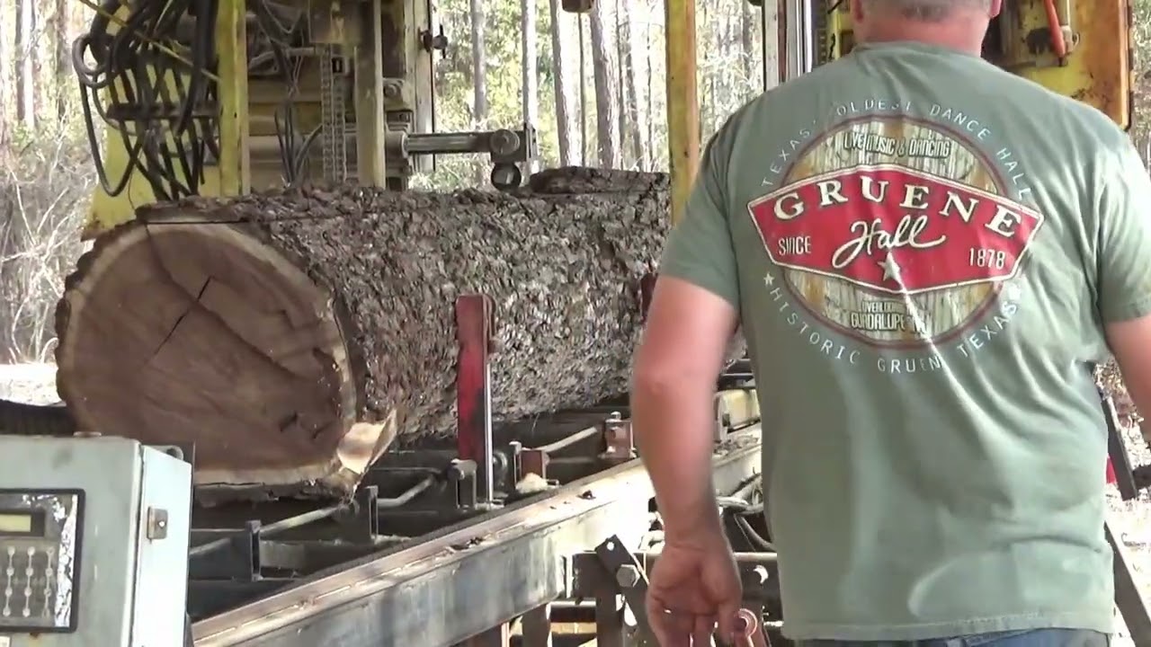 Logmaster Sawmill cutting Black Walnut