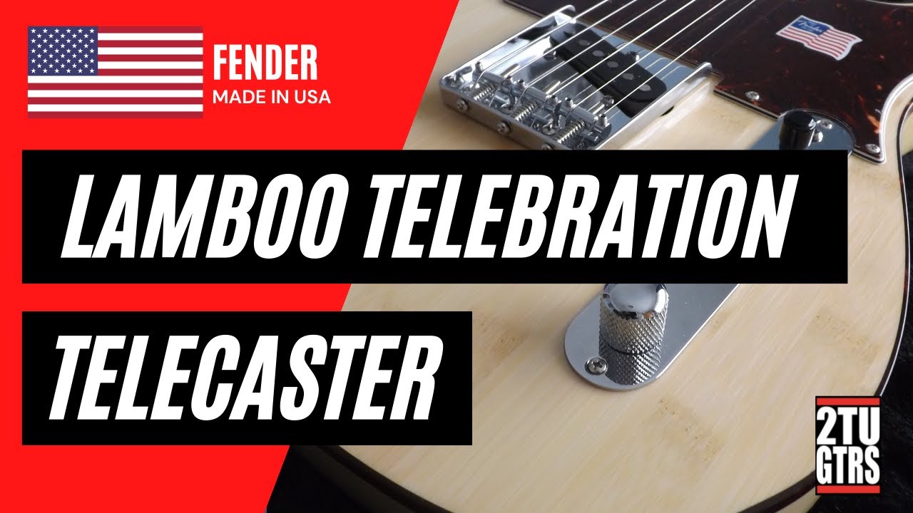 Fender Lamboo Telebration Telecaster 2011 Bamboo
