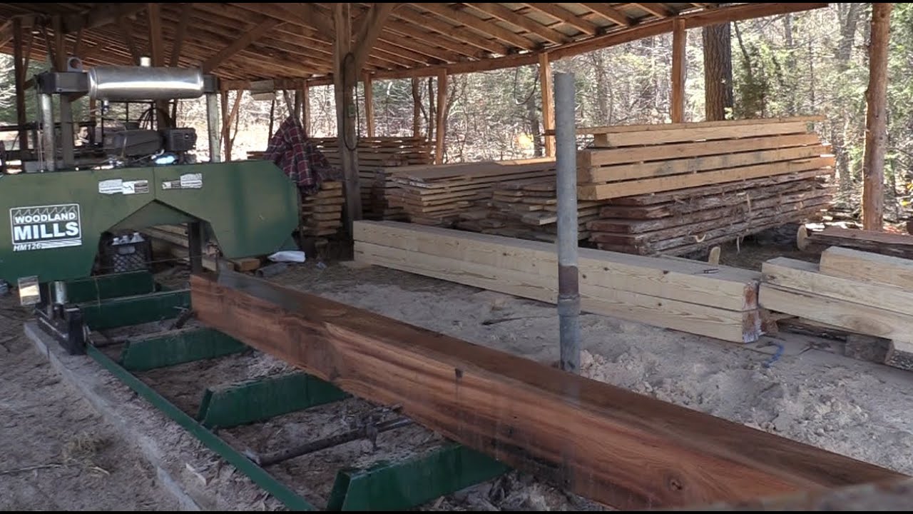 Milling a White Oak and Medicinal Values