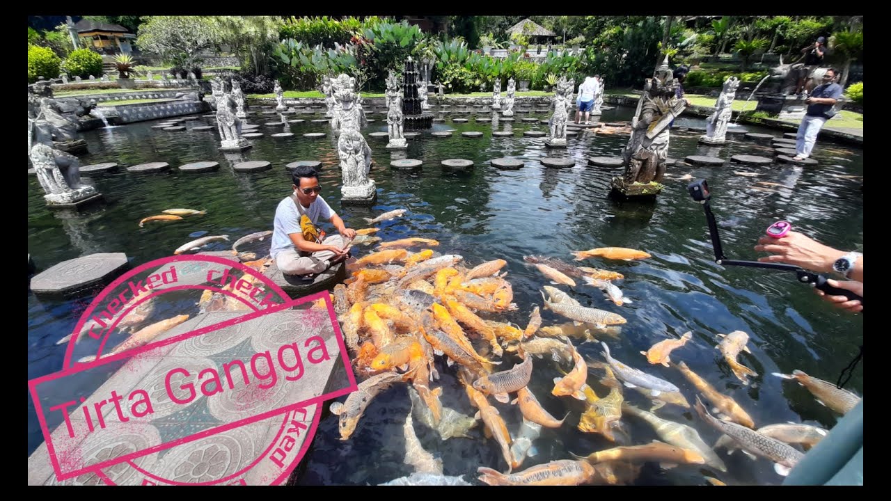Tirta Gangga | Wisata Taman Air terpopuler di Bali | Tempat terbaik berfoto dengan Ikan