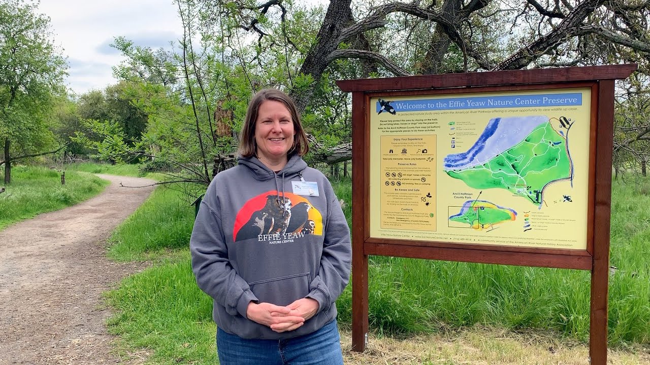 Why can't we walk our dogs in the Nature Study Area?