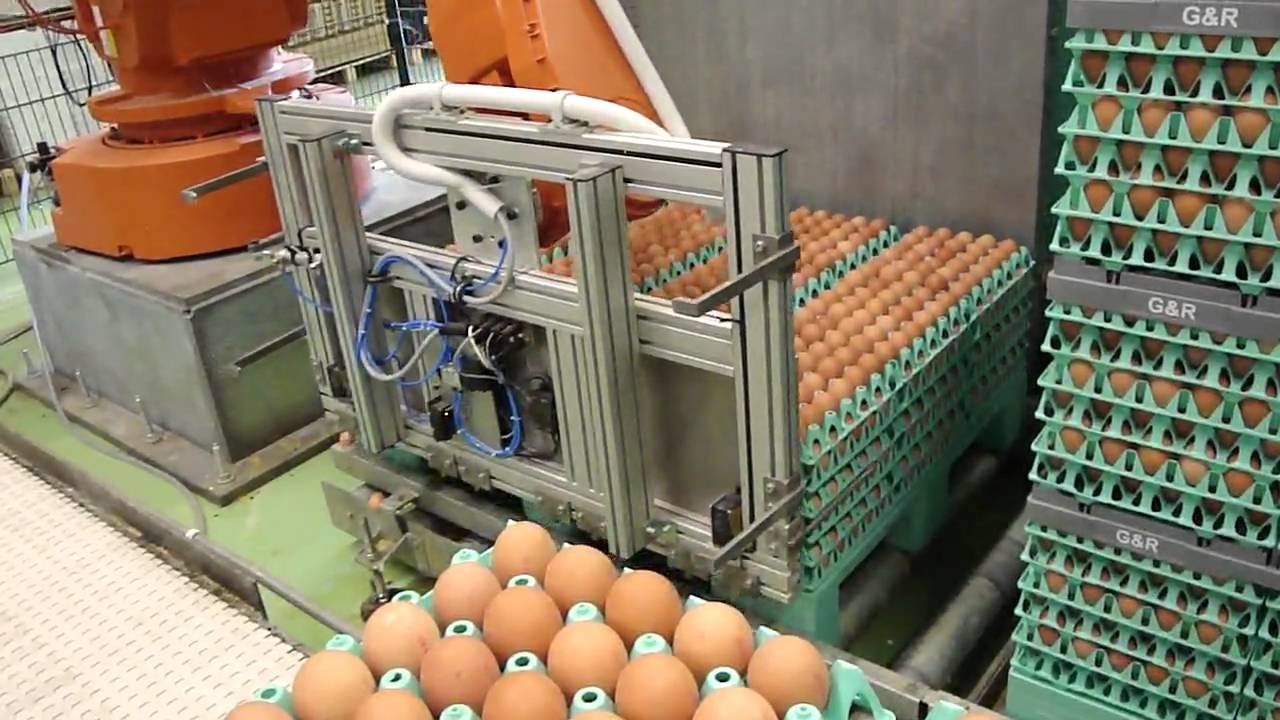 Egg robot
