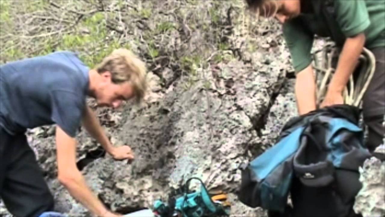The rescue of Amelia