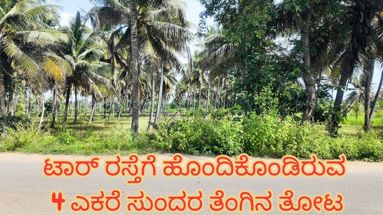 Tumkur–Sira ಮಾರ್ಗದ ಸುಂದರ 4 ಎಕರೆ ತೆಂಗಿನ ತೋಟ ಮಾರಾಟಕ್ಕೆ 💰