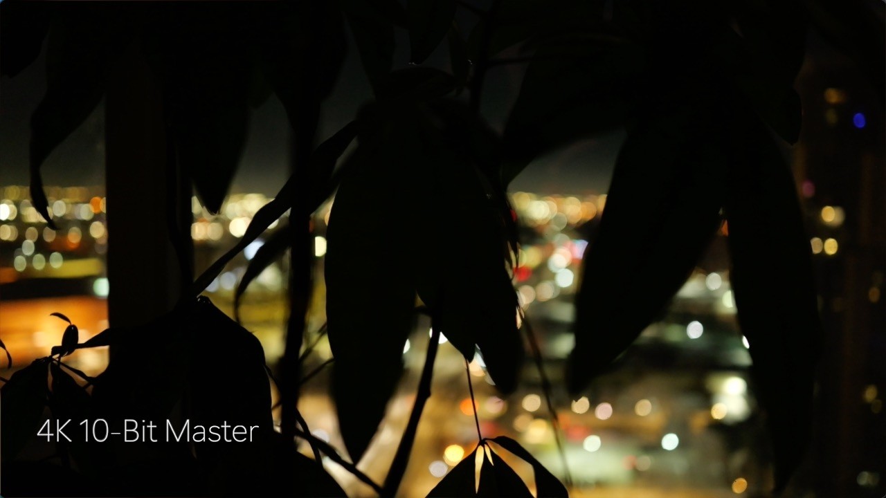 REAL 🎥  Living Leaves & Distant City Glow | Urban Night Ambience | 4K Background (6hrs)