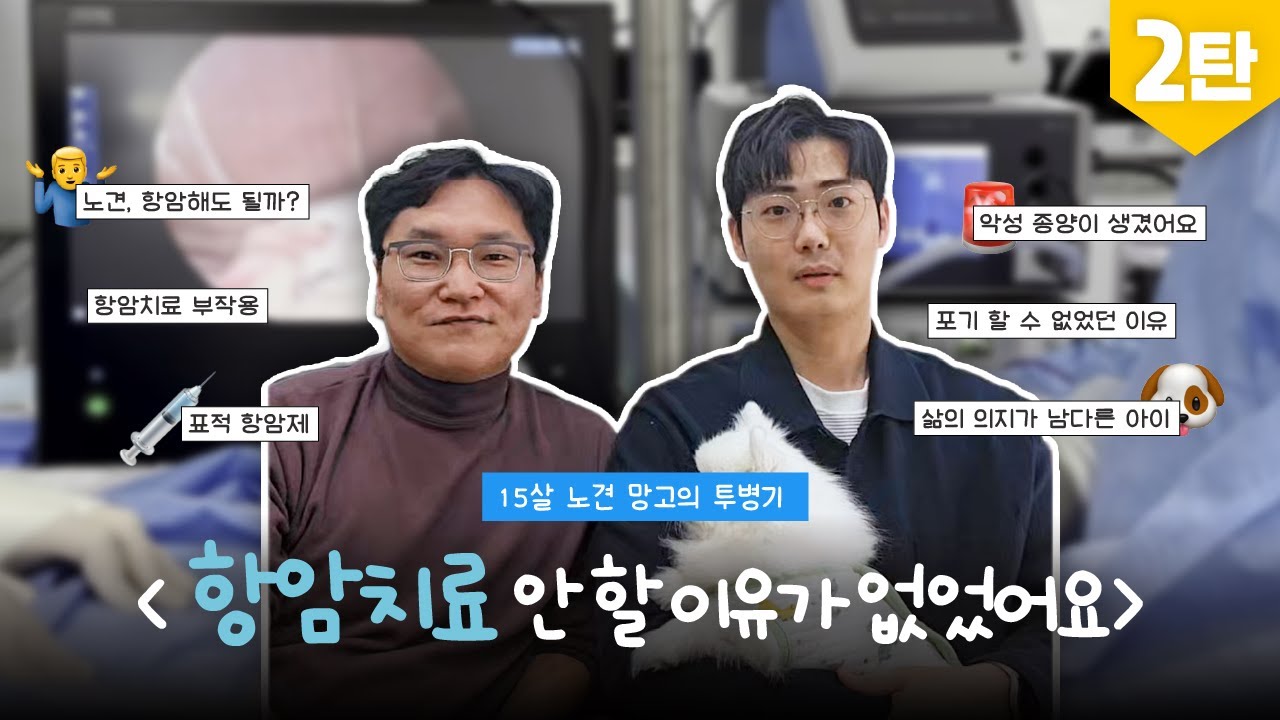 노견의 항암치료, 꼭 해야 할까?