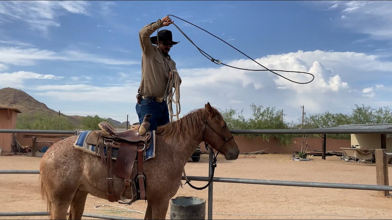 AZHT: How to Get a Horse Use to the Lasso