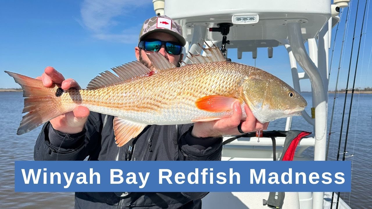 2025 Redfish MADNESS Georgetown SC Tournament (February BEATDOWN)