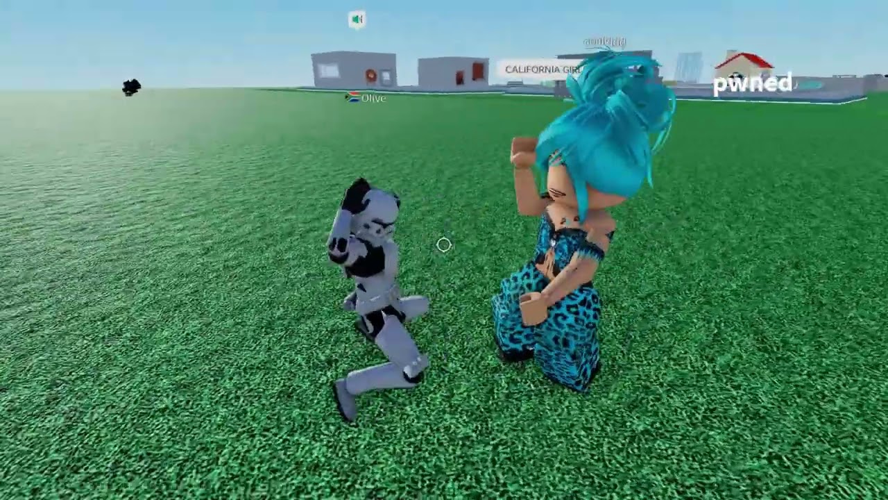 Roblox Funny Video