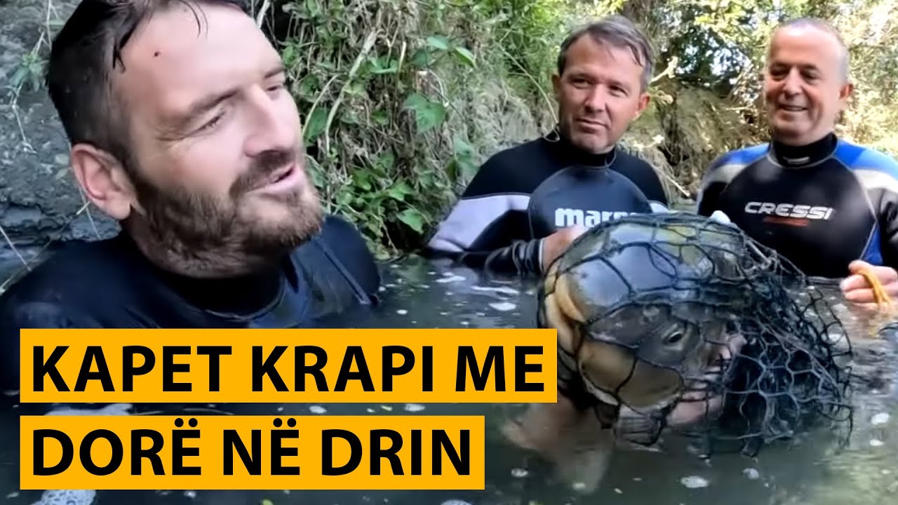 Kapet KRAPI me DORË në DRIN,  momenti DRAMATIK/ JA SA PESHON?