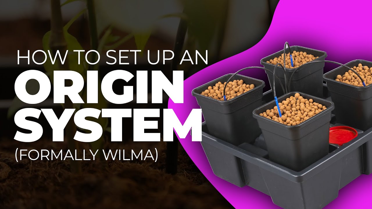 How to Set Up an Origin System (In Under 2 Minutes)
