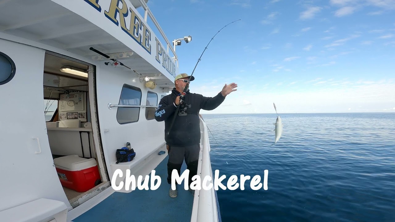 Party Boat Jigging  Blues, Albies, Bonito  Captree Pride