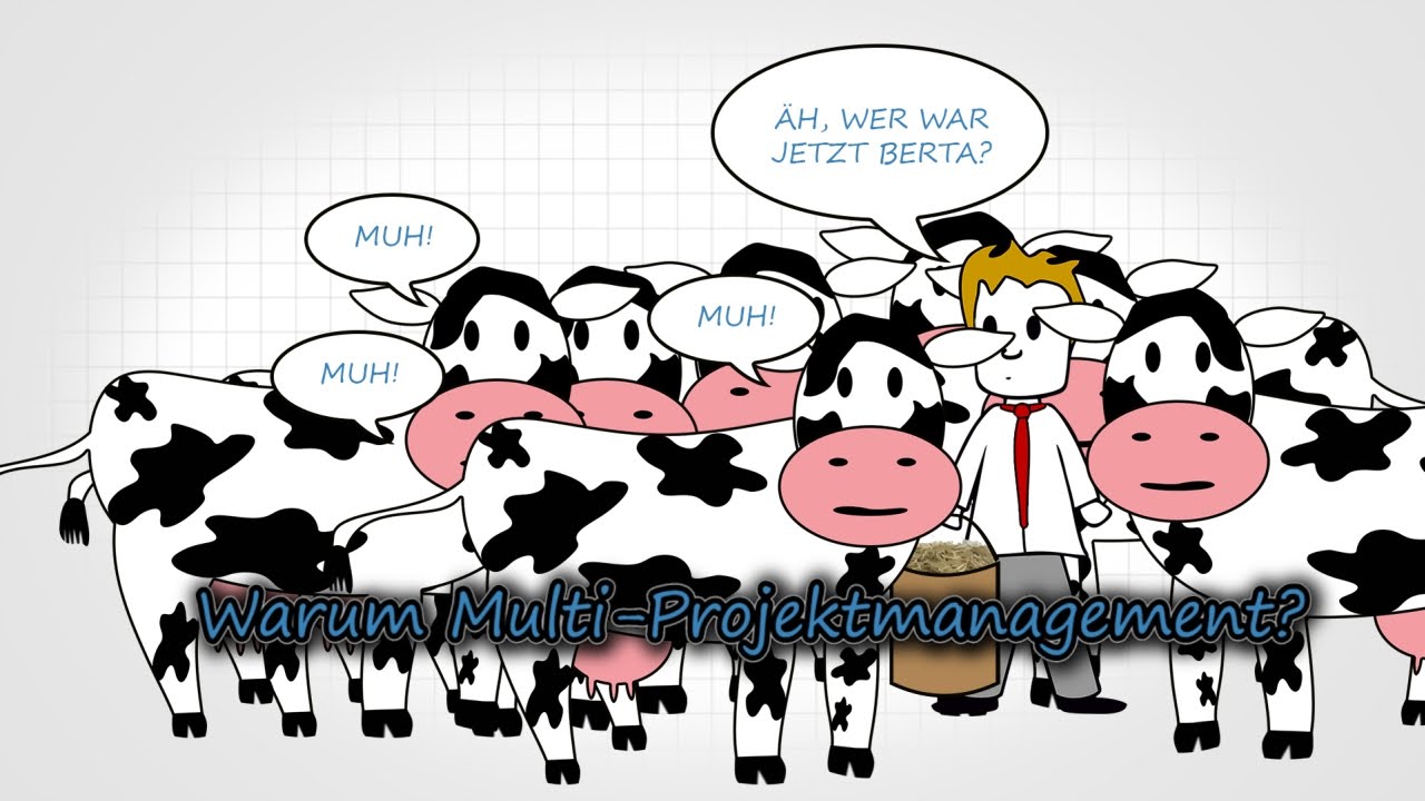Folge 25 - Warum Multi-Projektmanagement?