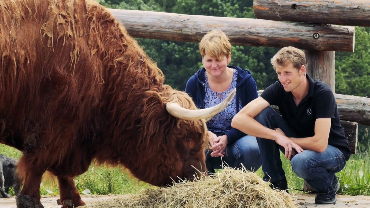 Ein neues Leben für Rind Bruno