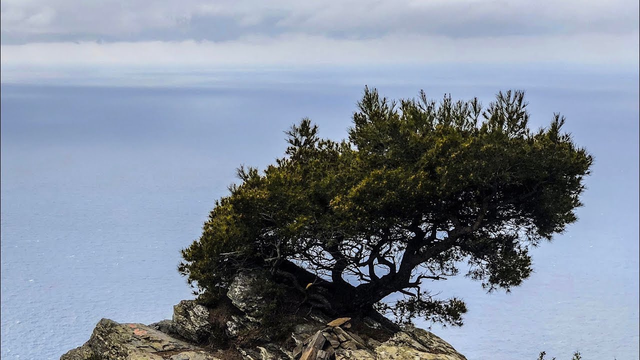 La Seyne les Pins