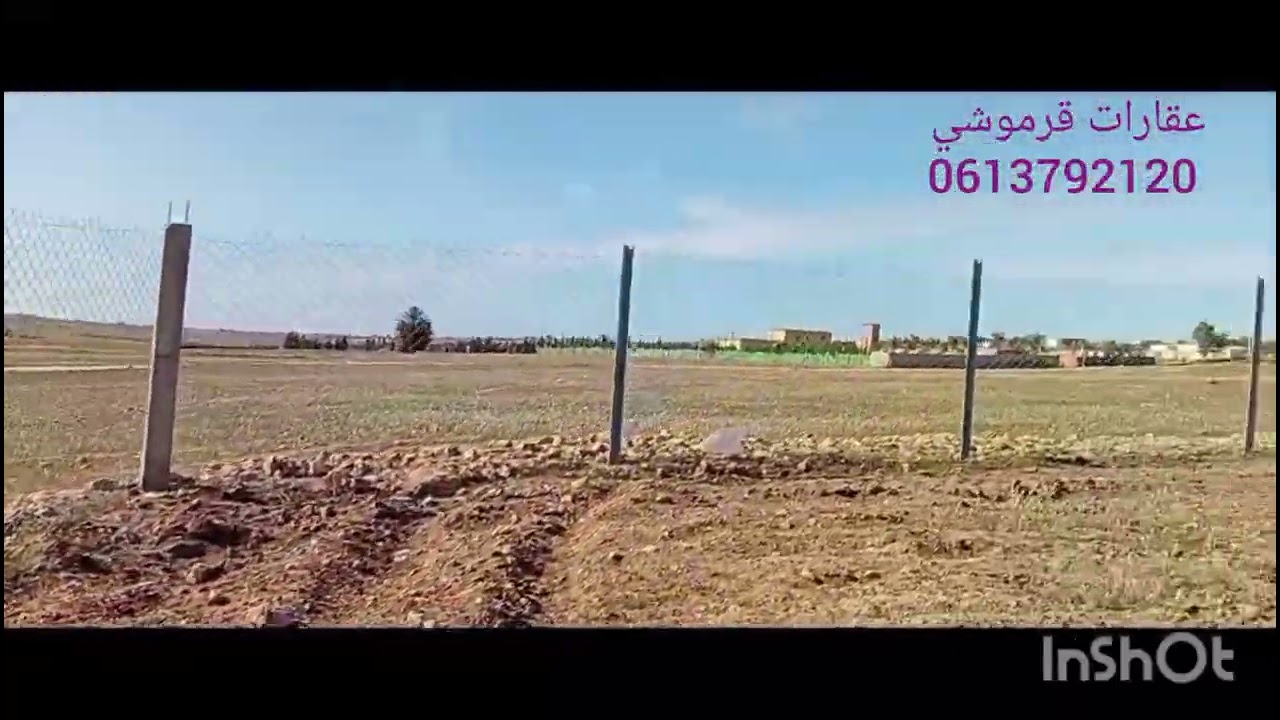 هكتار محفض تيتر  به كهرباء ماء لونيب طريق بئر نواحي بن معاشو بئرجديد الجديدة ثمن 40 مليون 0613792120
