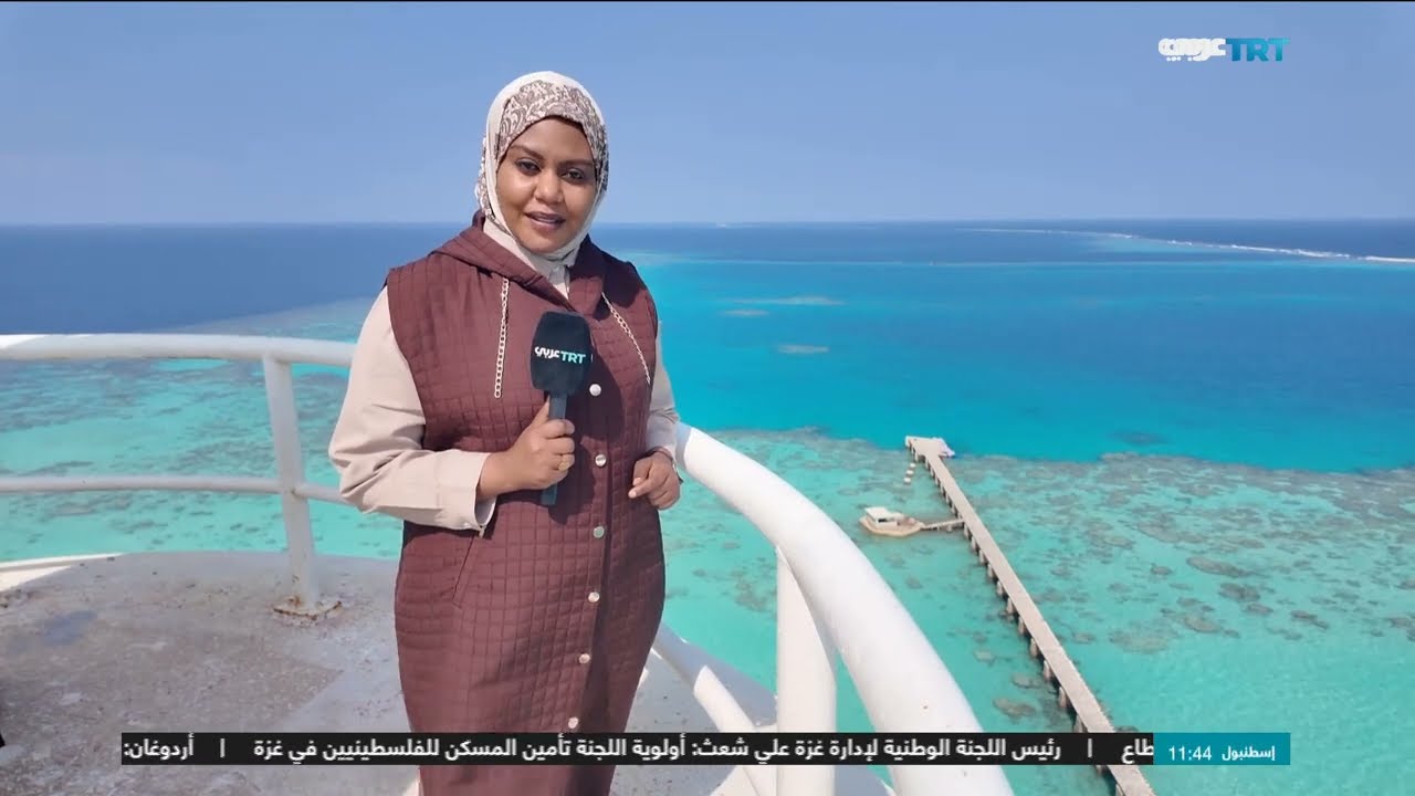 سنقنيب.. كنز سوداني عالمي في قلب البحر الأحمر | وثائقي قصير