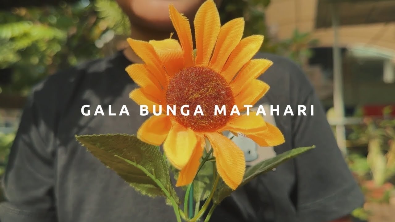 Sal Priadi - Gala Bunga Matahari | ECHOIR Cover | Global Prestasi School