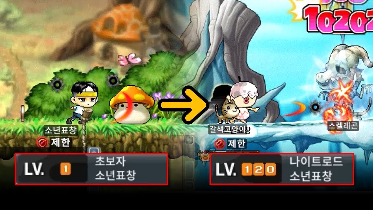 1레벨 초보자부터 나이트로드까지 초스피드로 찍기! 고자본 표도 육성기 몰아보기 [메이플랜드]