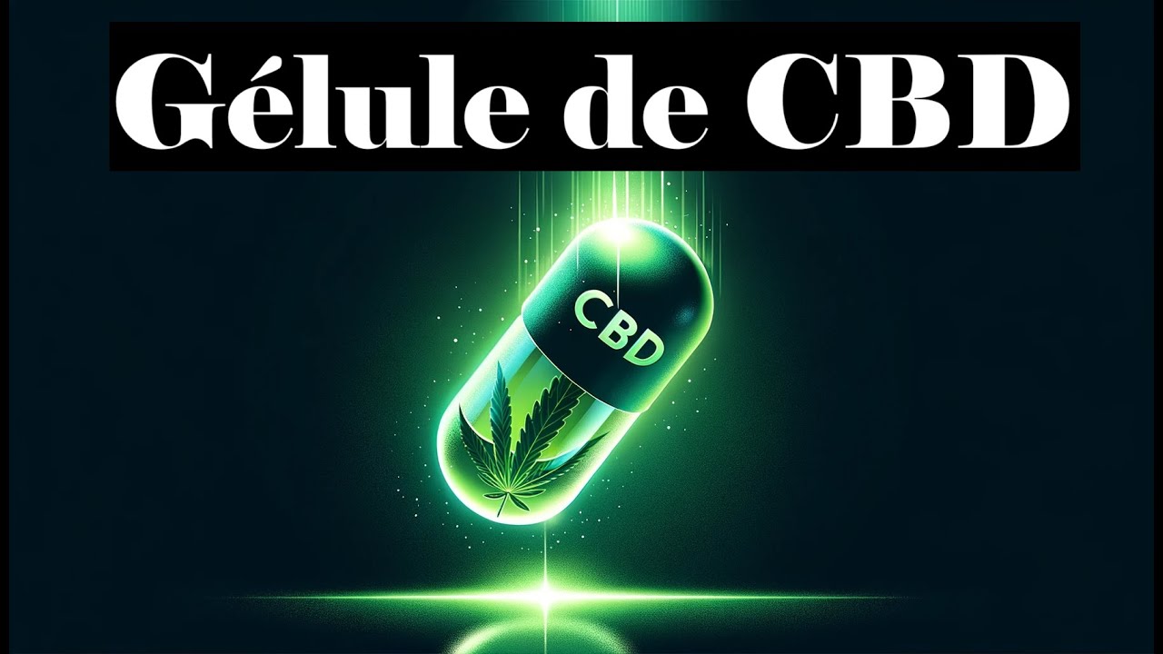 G&eacute;lule de CBD 💊 Qu'est-ce que c'est ? Achat en France, code promo, danger