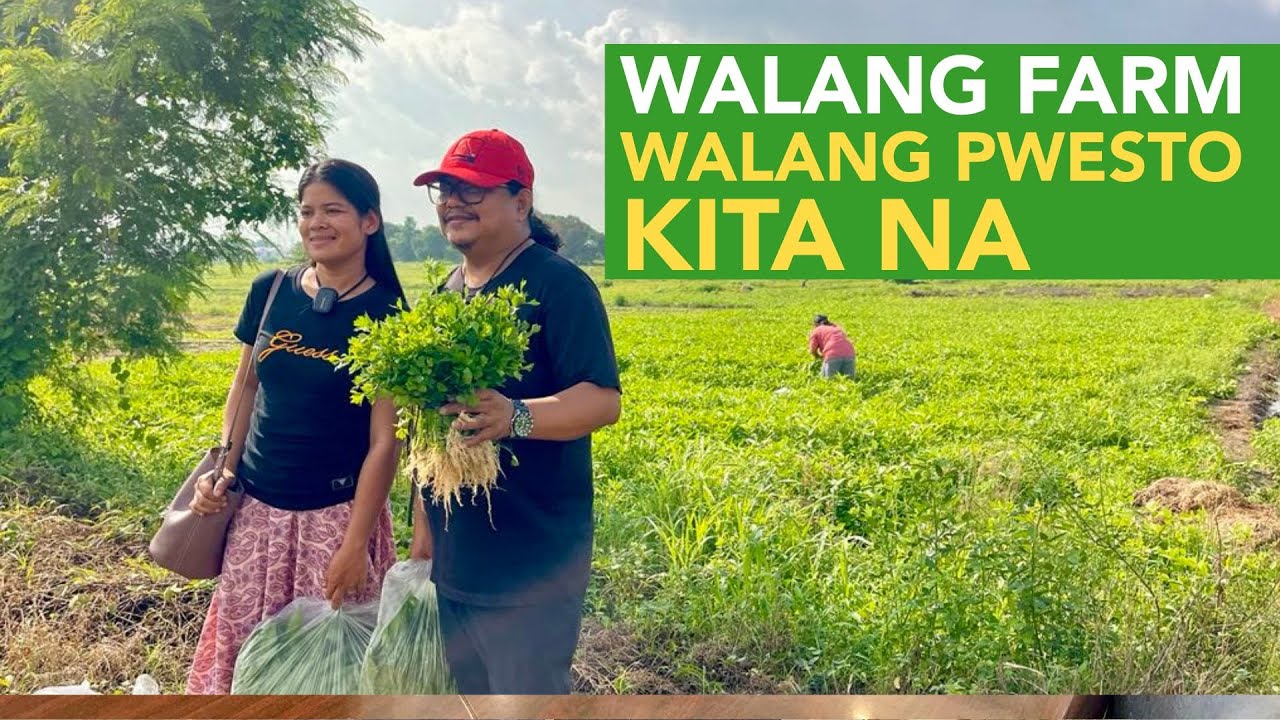 Gulay Business na Walang Farm at Walang Pwesto, Order Taking at Delivery lang Kita na!