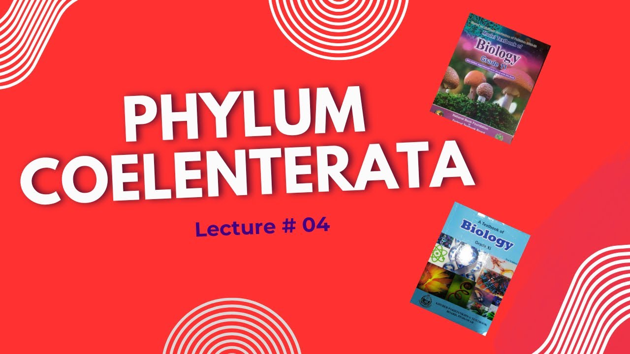 Phylum Coelenterata (Cnidaria) | Complete Biology Lecture | Hydra, Obelia & Coral Reefs | FSC I 
