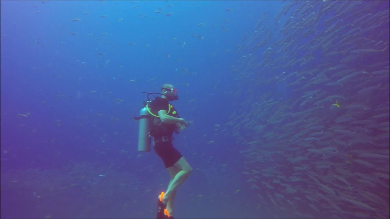 Diving Thailand 2017 - Sail Rock - Tons of barracudas