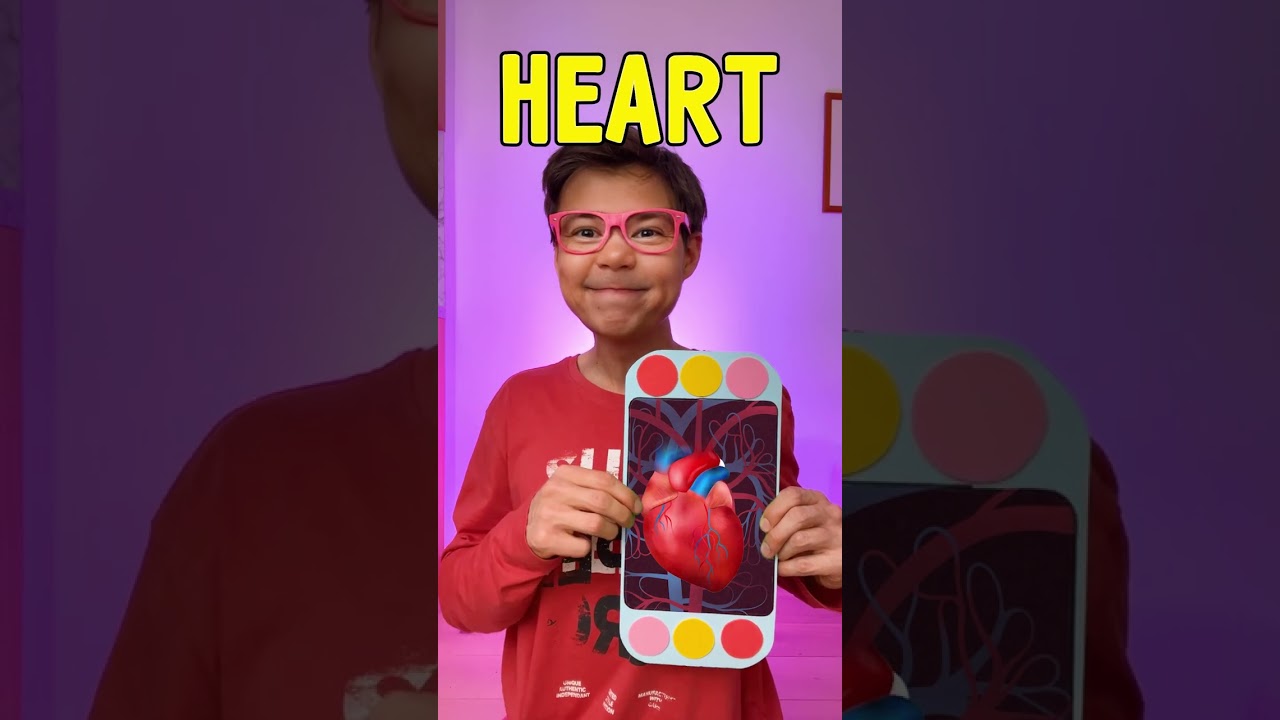 What do you think&rsquo;s in there? 🧠💗Let's learn new words!