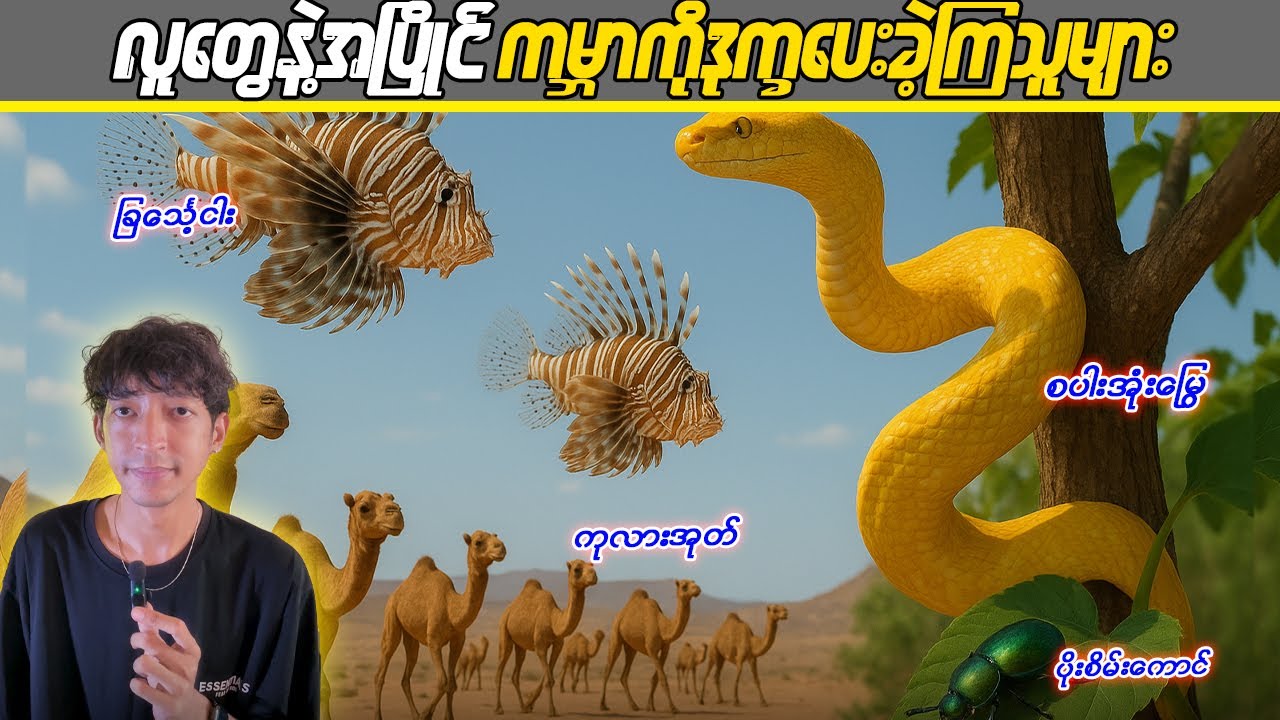 လူတွေနဲ့အပြိုင် ကမ္ဘာကိုဒုက္ခပေးခဲ့တဲ့တိရစ္ဆာန်များ
