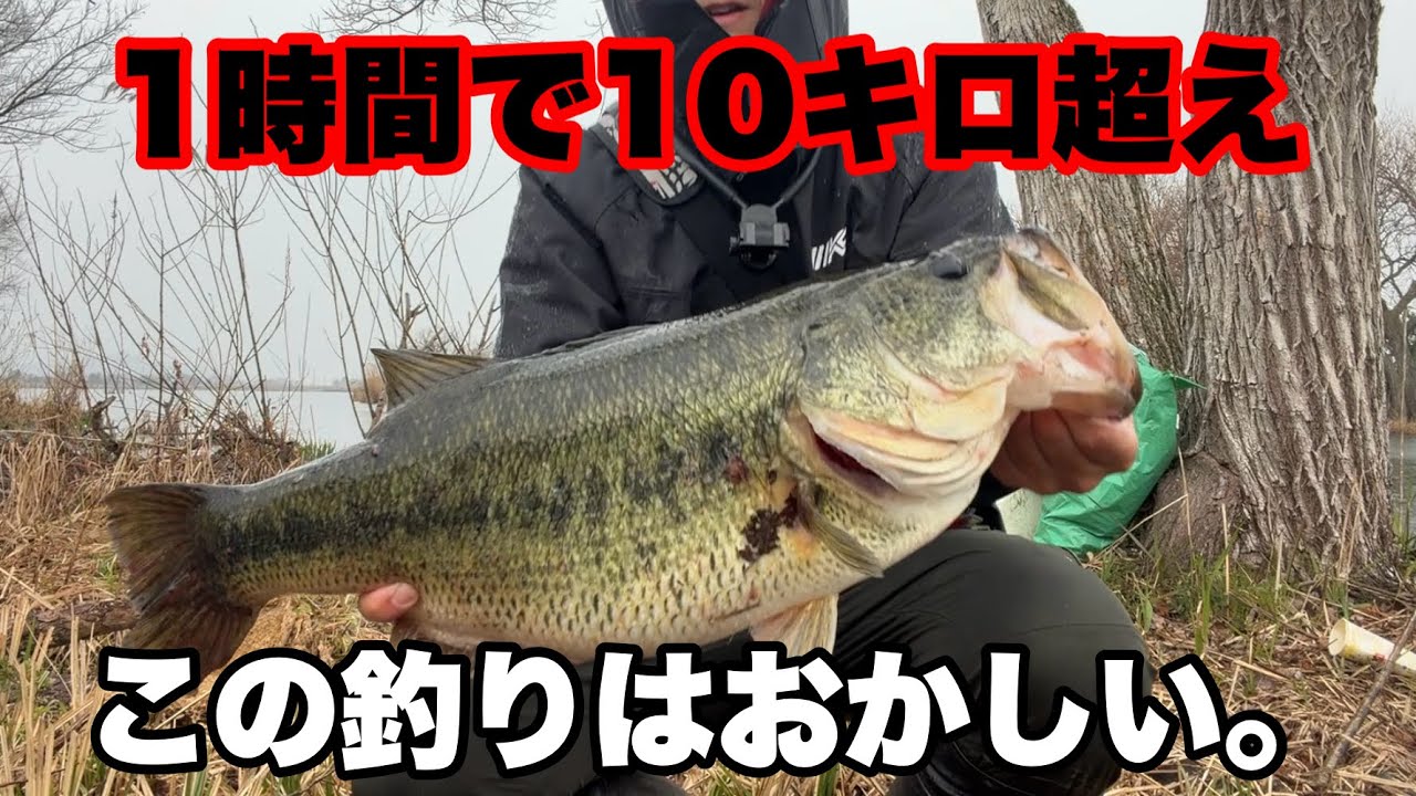 めちゃくちゃ簡単に50upがポンポン釣れる魔法の釣りがヤバすぎました。