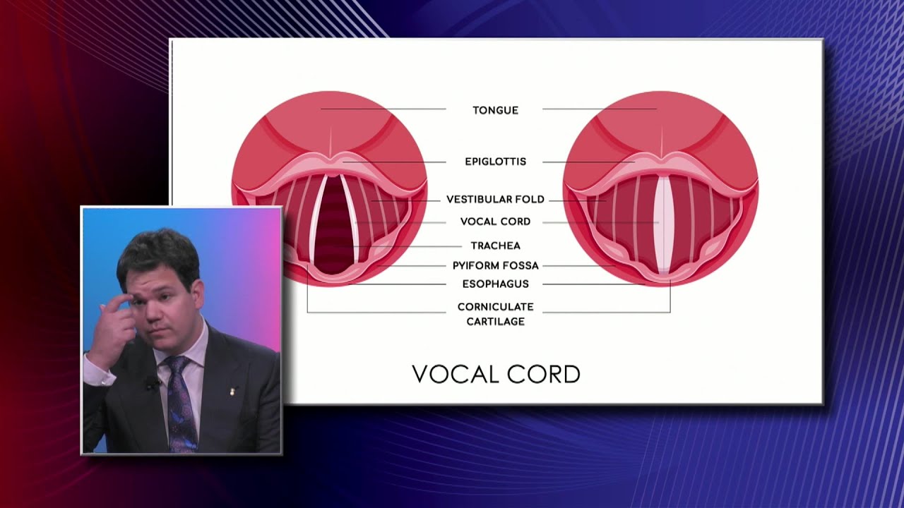Anatomy of the Vocal Cords