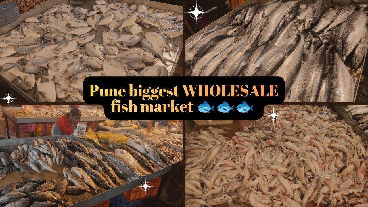 पुण्यातील सर्वात मोठे होलसेल फिश मार्केट Ganesh peth 😍 | Pune Fish Market | Pune