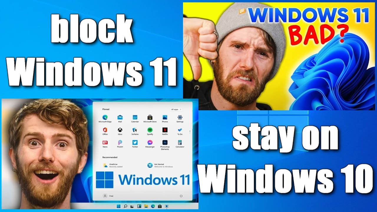 ✨Как заблокировать обновление до Windows 11 и остаться на Windows 10