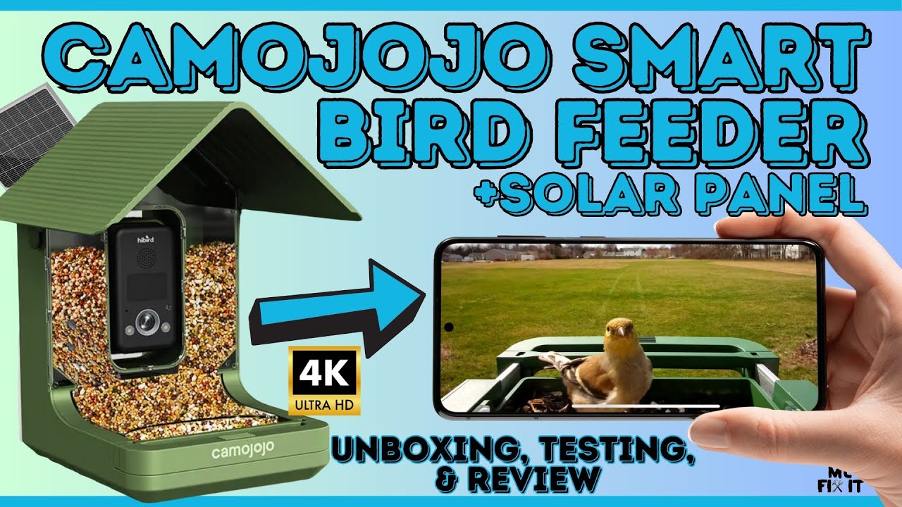 Camojojo HiBird 4K Bird Feeder with Smart Bird AI + Solar Panel –  Unboxing, Review & Testing