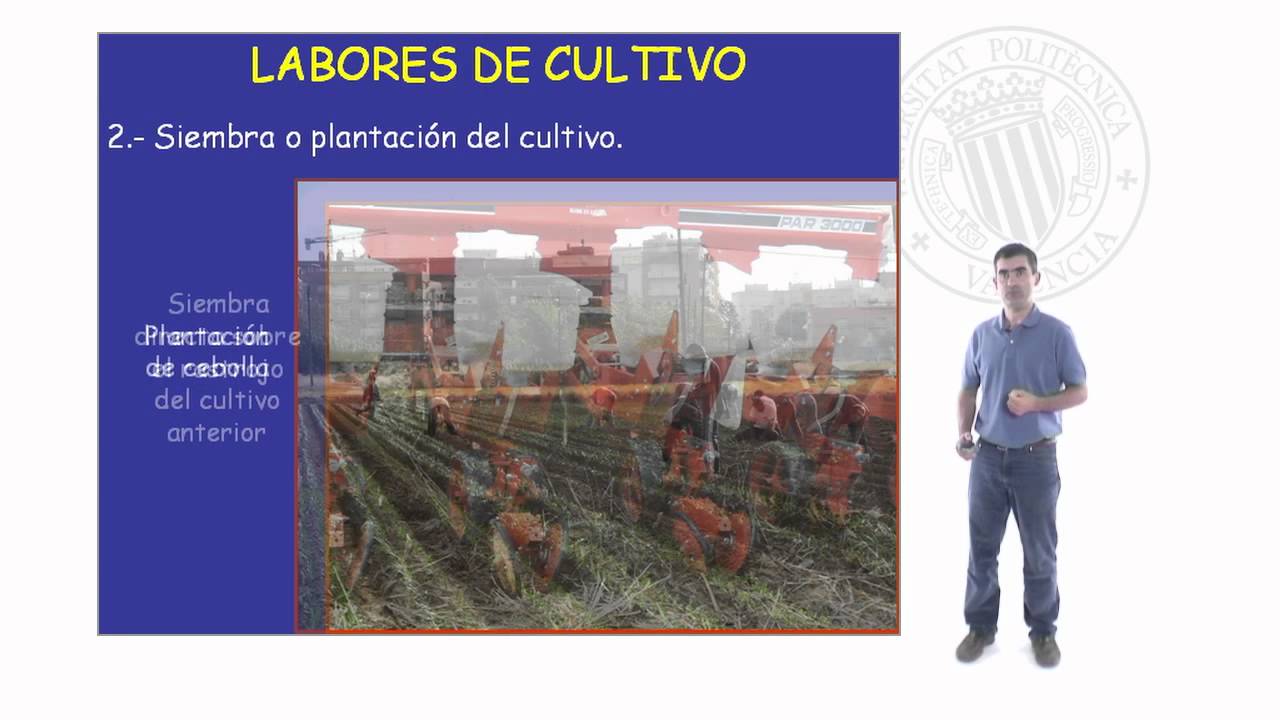 Labores de cultivo |  | UPV