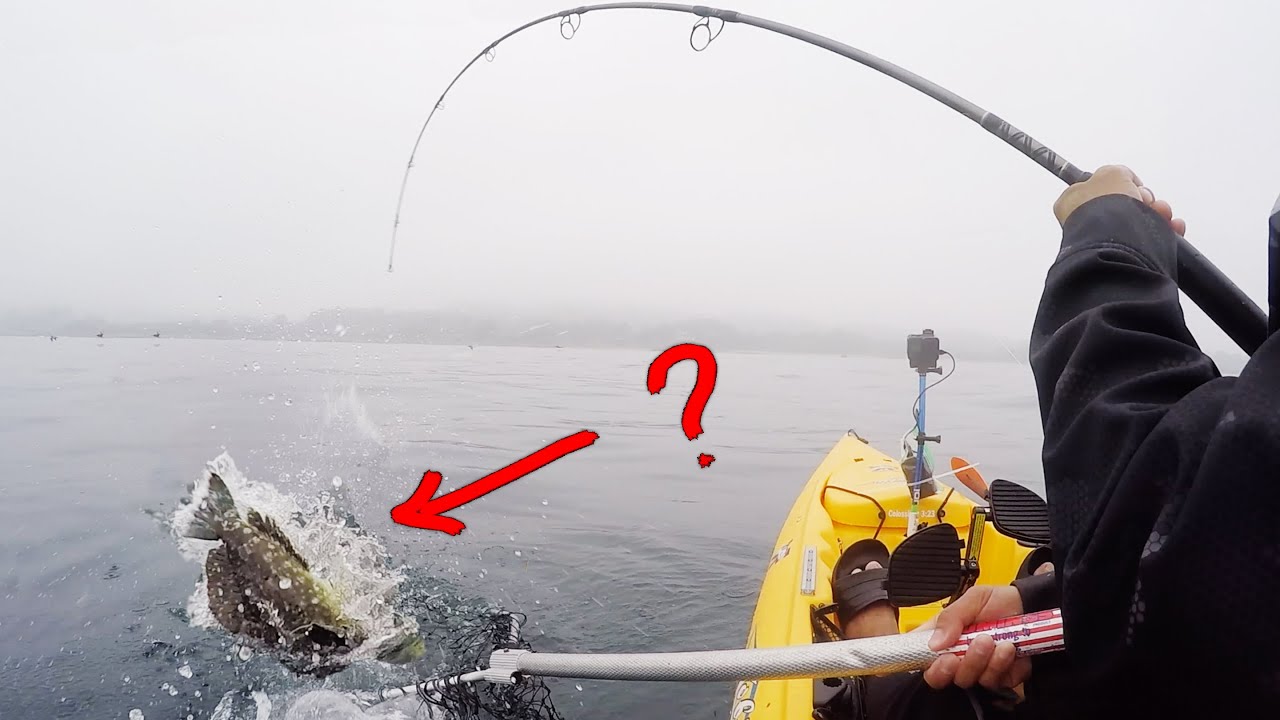 I've been HUNTING this fish for TWO YEARS