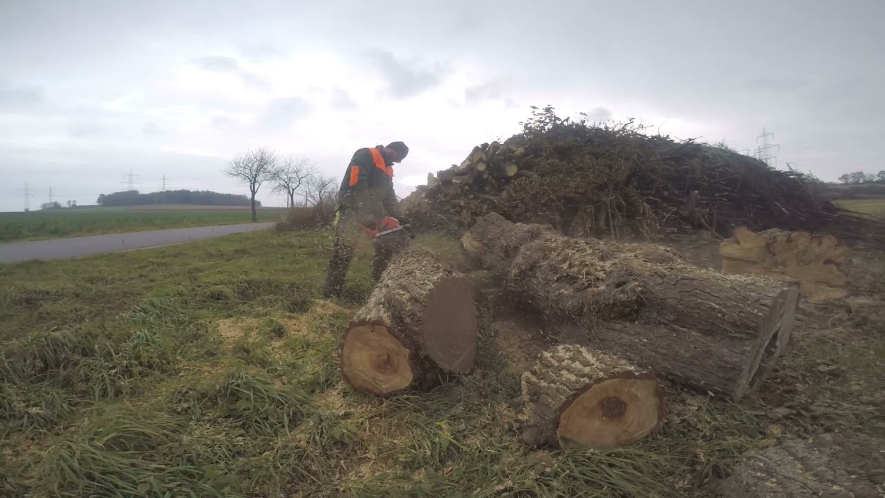 Husqvarna 585 | Test