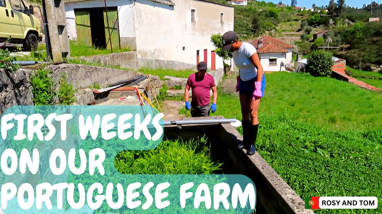 Portugal Homestead - First few weeks on our Portuguese farm