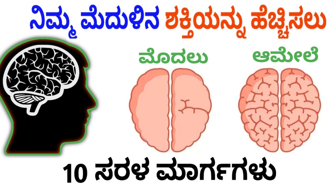 ನಿಮ್ಮ ಮೆದುಳಿನ ಶಕ್ತಿಯನ್ನು ಹೆಚ್ಚಿಸಲು 10 ಸರಳ ಮಾರ್ಗಗಳು | How To Increase Brain Power In Kannada