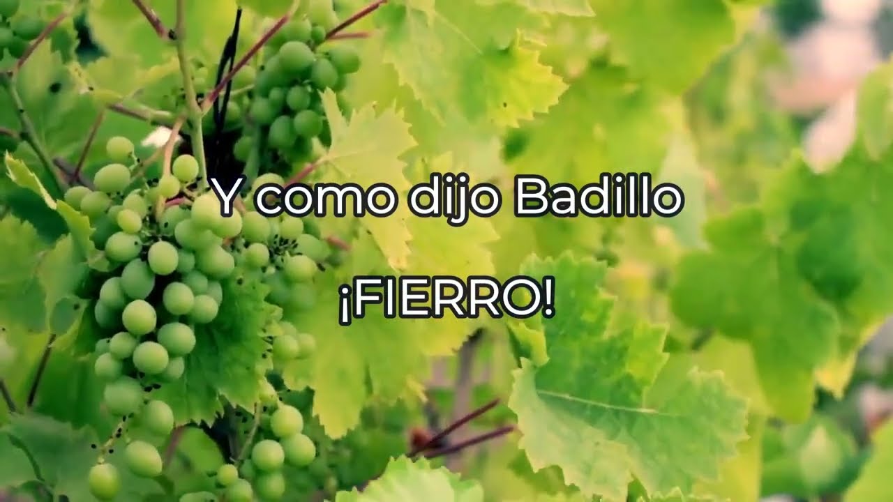 Badillo