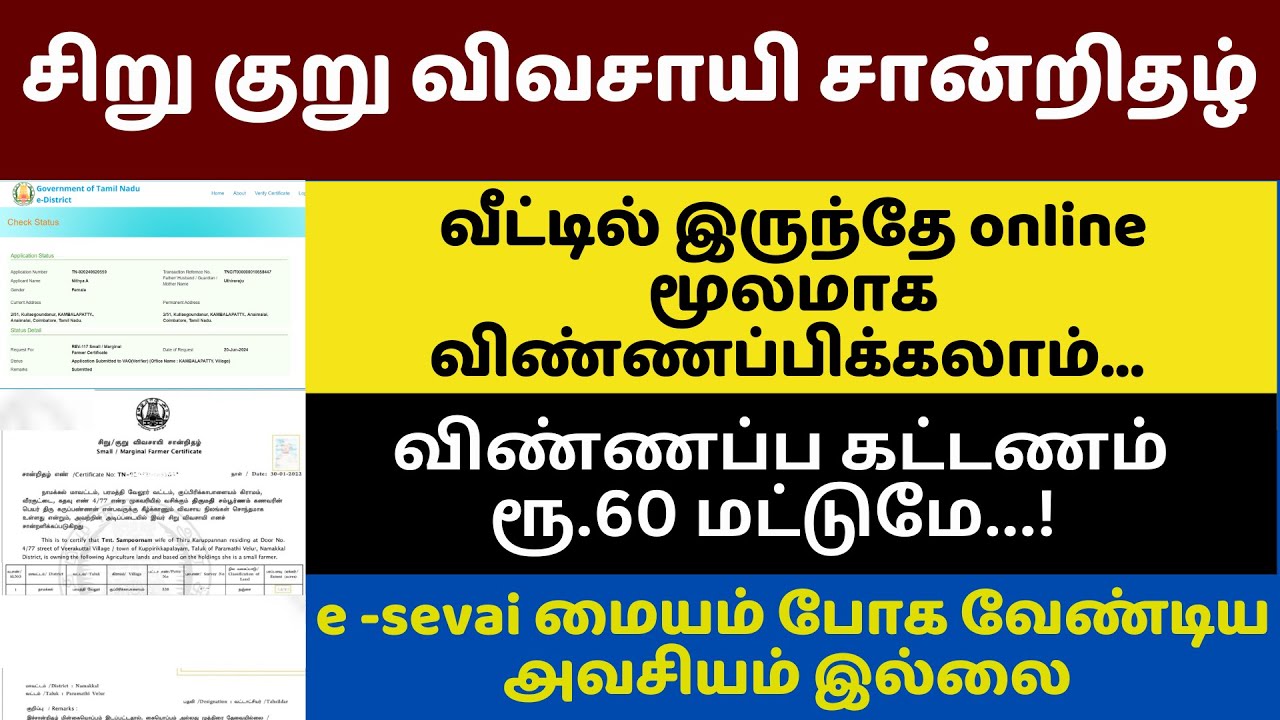 🔥 How to Apply Small Marginal Farmer Certificate Online in tamil 2024 | சிறுகுறு விவசாயி சான்றிதழ்