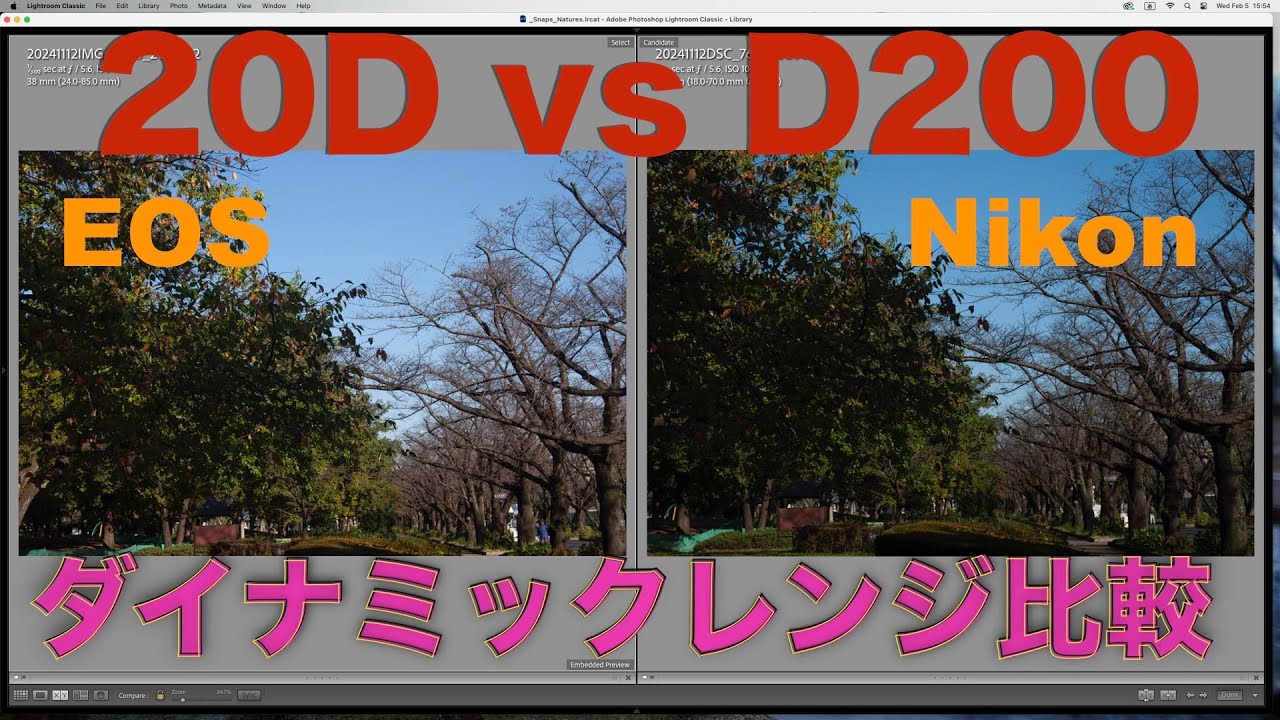 Nikon D200 vs EOS 20D ダイナミックレンジ比較・現代のカメラと実はそんなに変わらない？・低画素一眼レフの魅力
