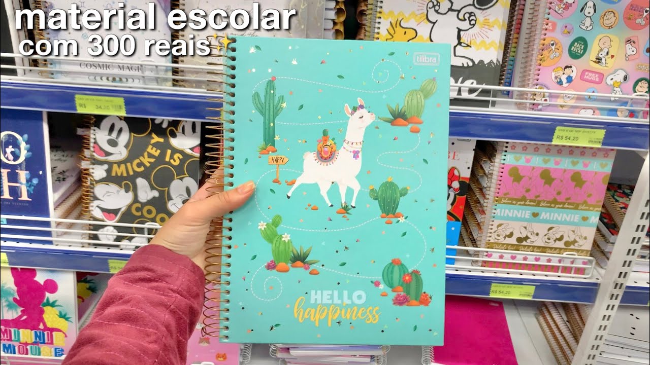 comprando material escolar 2023 com 300 reais ✨